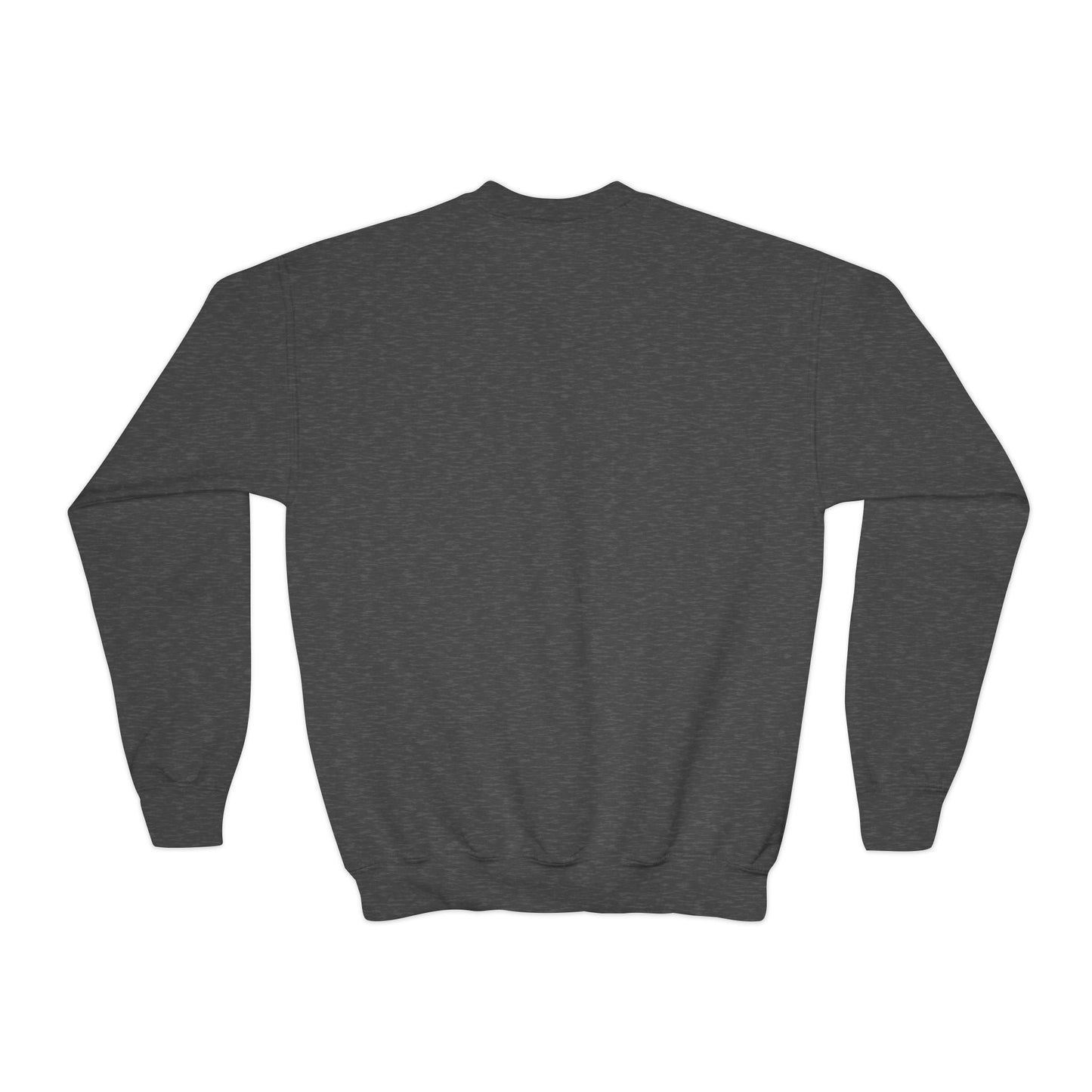 Youth Crewneck Sweatshirt - Back to School Panda, Cute Sweatshirt for Kids, Cozy Back to School Gift, Adorable Animal Design, Cute [...]
